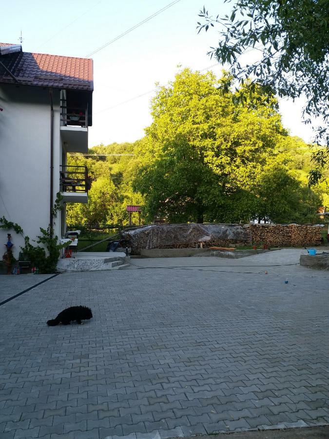 Casa Tican Бран Экстерьер фото