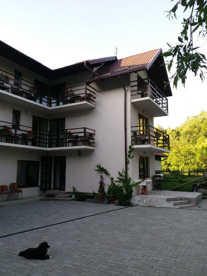 Casa Tican Бран Экстерьер фото